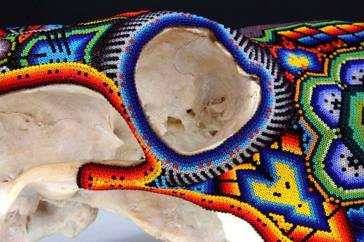 Cráneo de vaca Arte Huichol - Xurawe - Arte Huichol - Marakame