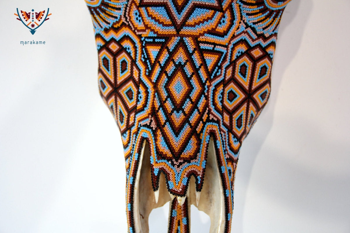 Cráneo de vaca Arte Huichol - Xurawe - Arte Huichol - Marakame