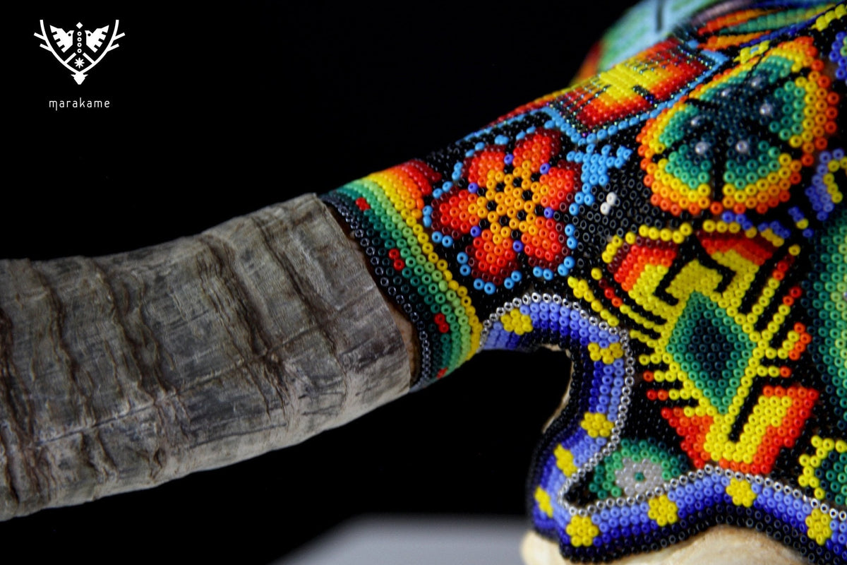 Cráneo de vaca Arte Huichol - Xurawe - Arte Huichol - Marakame