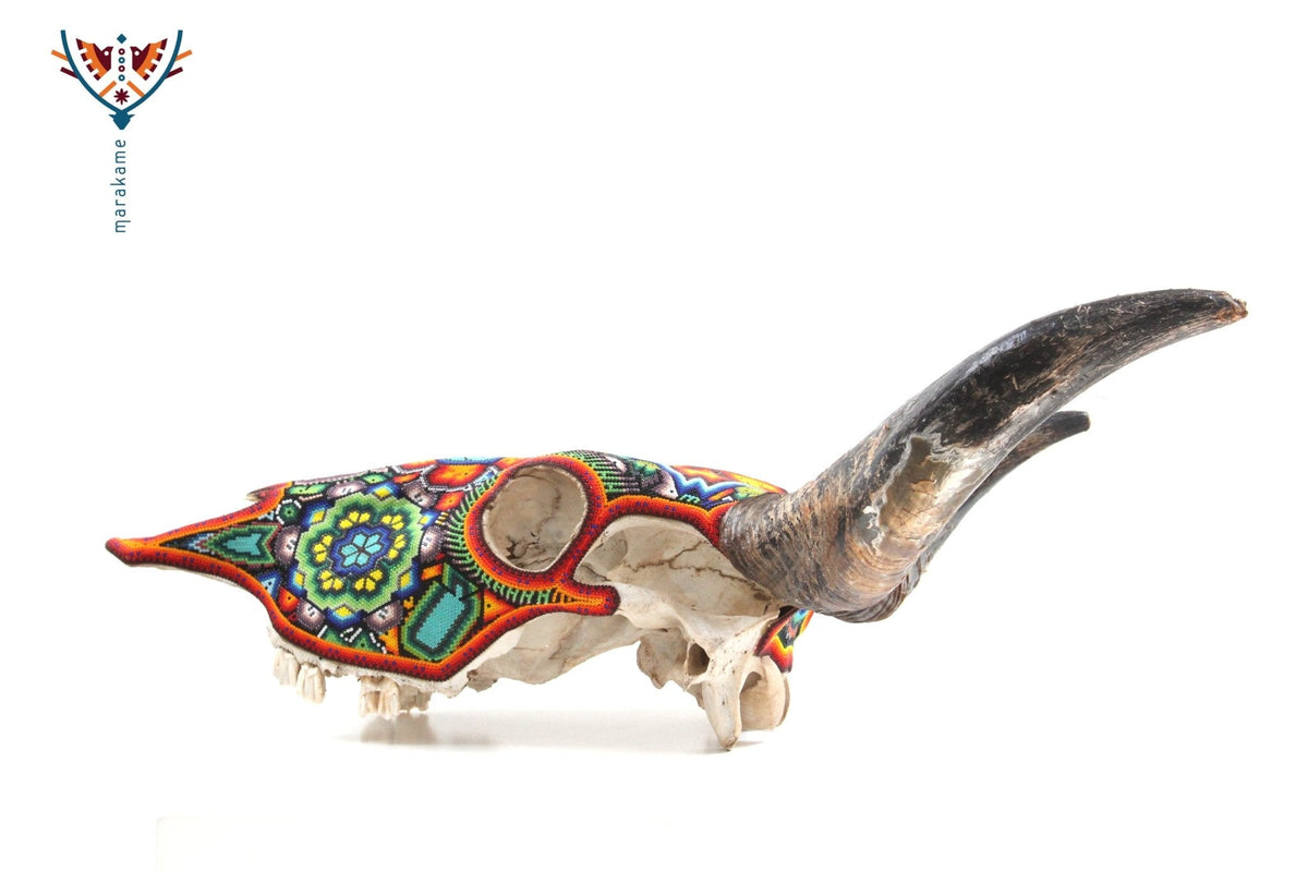 Cráneo de vaca Arte Huichol - Xurawe - Arte Huichol - Marakame