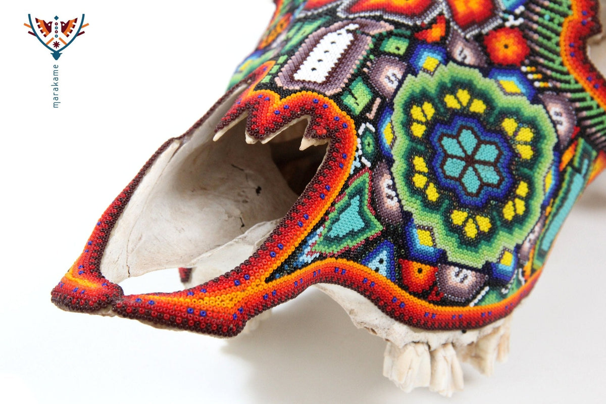 Cráneo de vaca Arte Huichol - Xurawe - Arte Huichol - Marakame