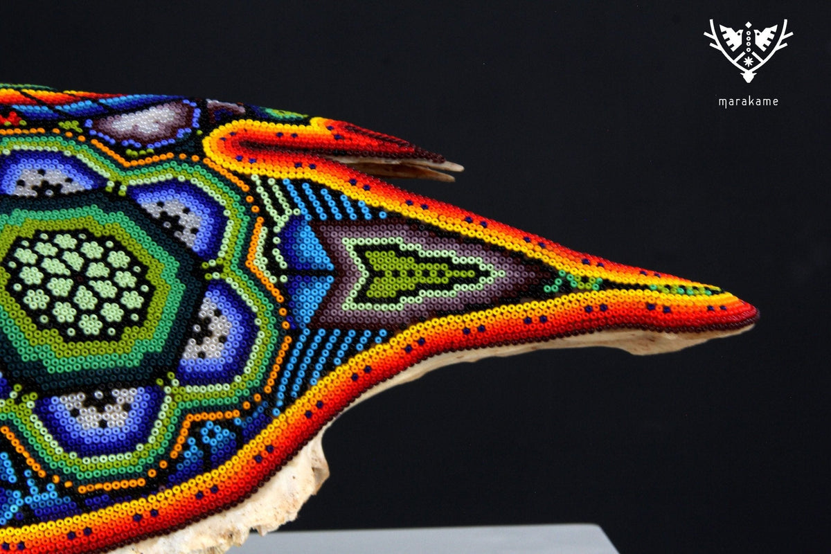Cráneo de vaca Arte Huichol - Xurawe - Arte Huichol - Marakame