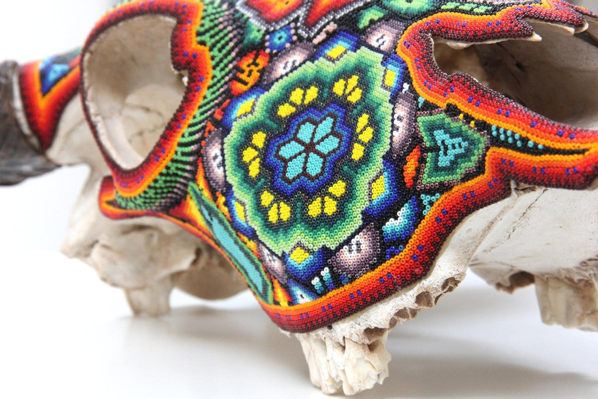 Cráneo de vaca Arte Huichol - Xurawe - Arte Huichol - Marakame
