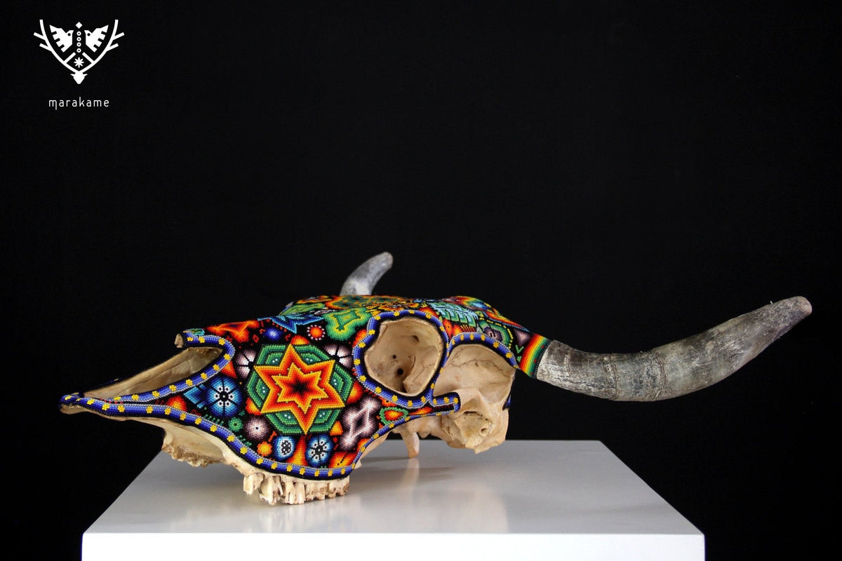 Cráneo de vaca Arte Huichol - Xurawe - Arte Huichol - Marakame