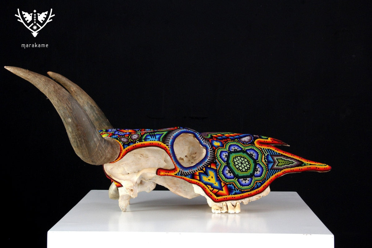 Cráneo de vaca Arte Huichol - Xurawe - Arte Huichol - Marakame