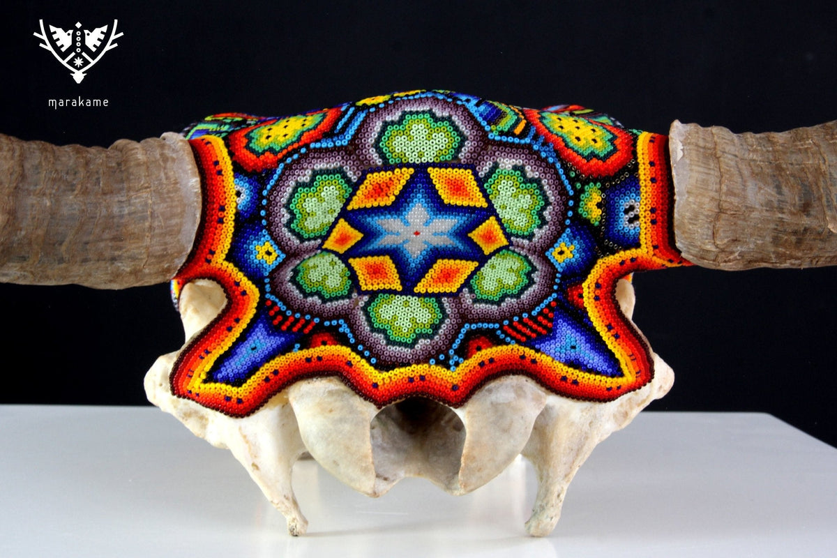 Cráneo de vaca Arte Huichol - Xurawe - Arte Huichol - Marakame