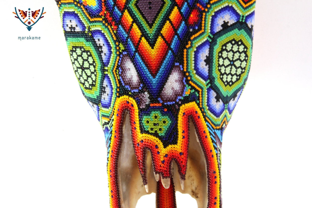 Cráneo de vaca Arte Huichol - Xurawe - Arte Huichol - Marakame