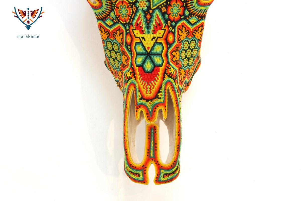 Cráneo de vaca Arte Huichol - Xurawe I - Arte Huichol - Marakame