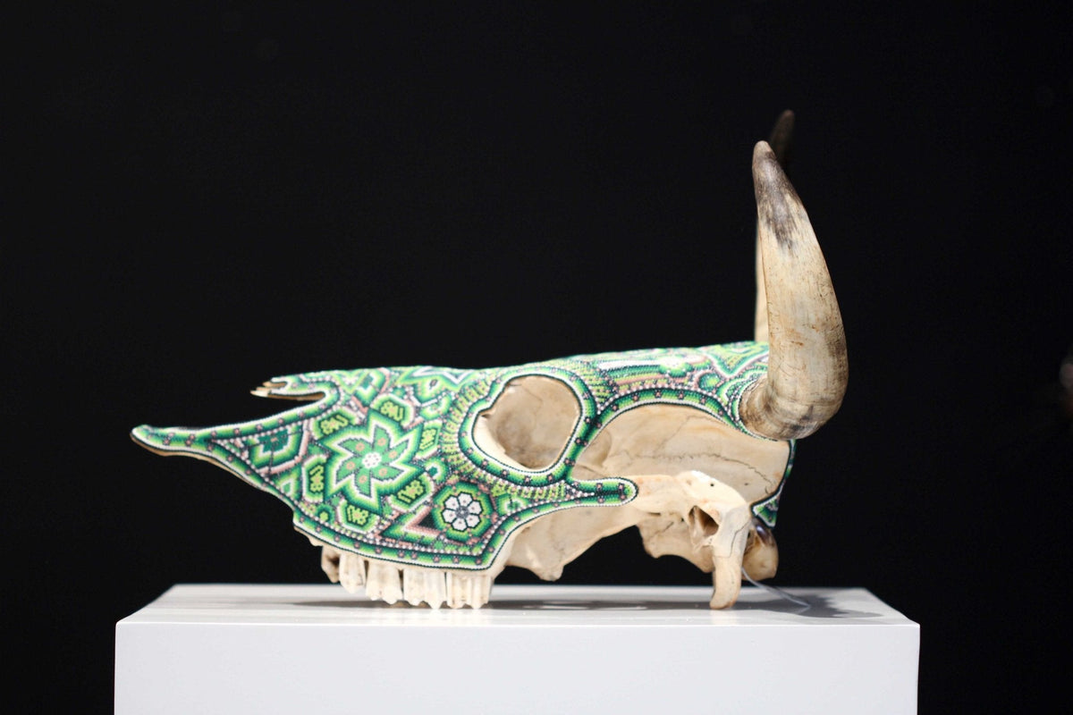 Cráneo de vaca Arte Huichol - Xurawe II - Arte Huichol - Marakame