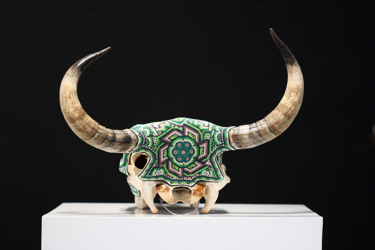 Cráneo de vaca Arte Huichol - Xurawe II - Arte Huichol - Marakame
