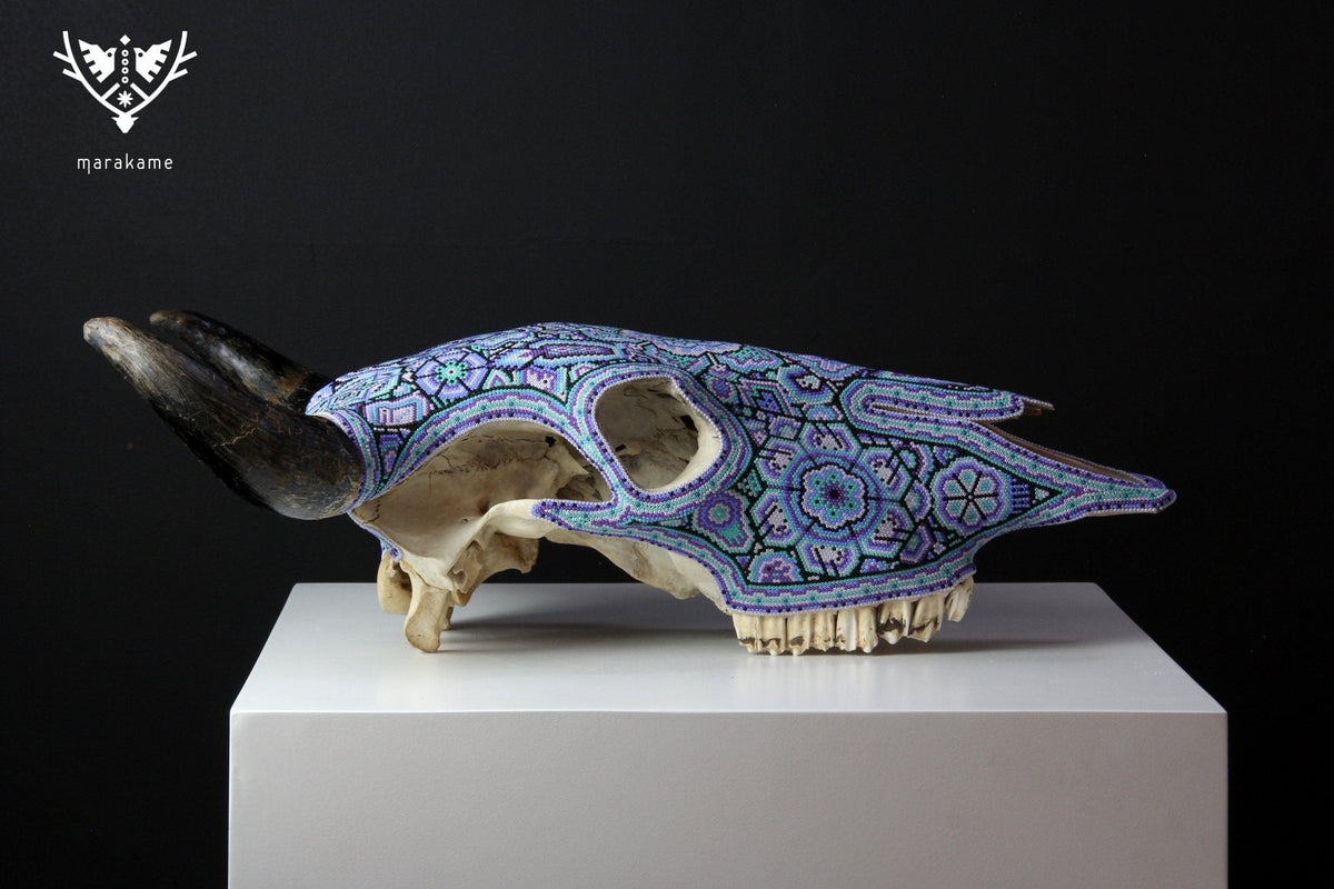 Cráneo de vaca Arte Huichol - Xurawe II - Arte Huichol - Marakame