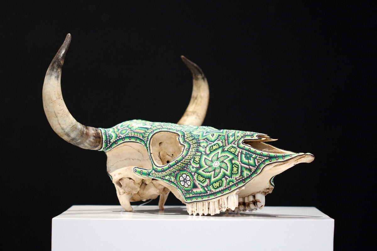 Cráneo de vaca Arte Huichol - Xurawe II - Arte Huichol - Marakame