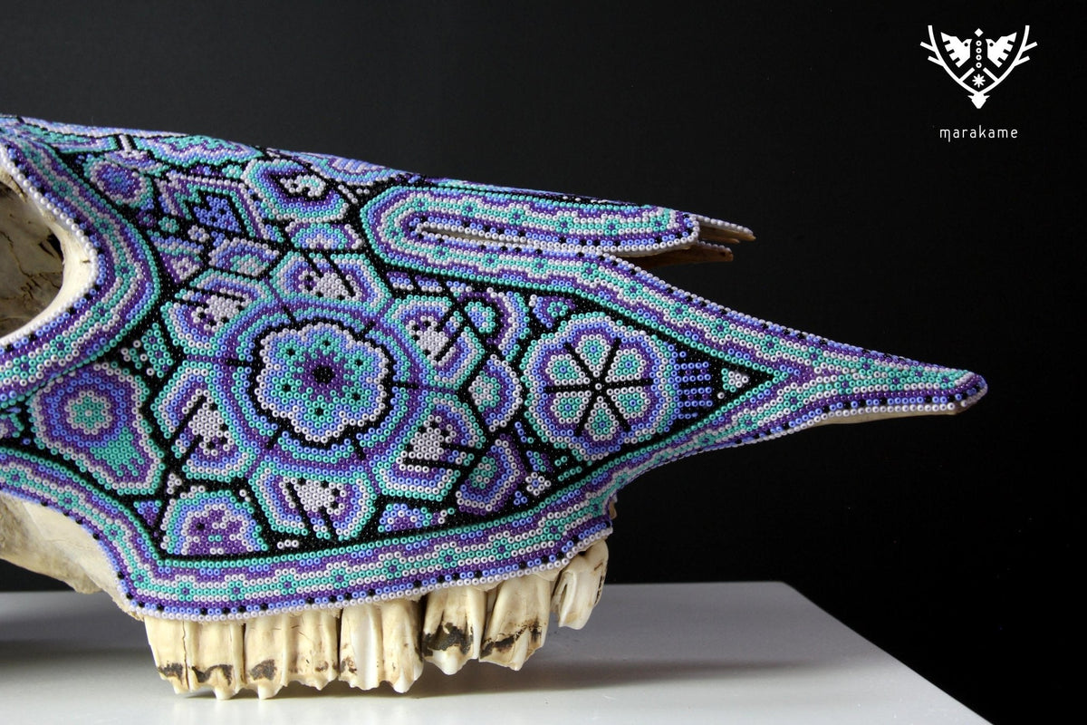 Cráneo de vaca Arte Huichol - Xurawe II - Arte Huichol - Marakame