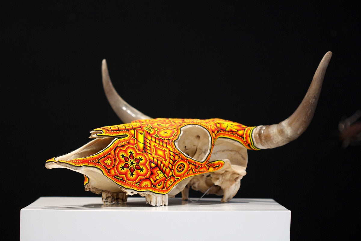 Cráneo de vaca Arte Huichol - Xurawe III - Arte Huichol - Marakame