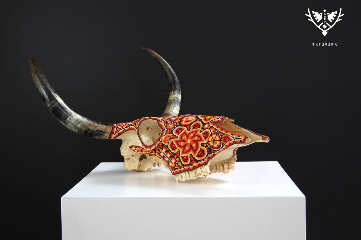 Cráneo de vaca Arte Huichol - Xurawe Tatewari - Arte Huichol - Marakame