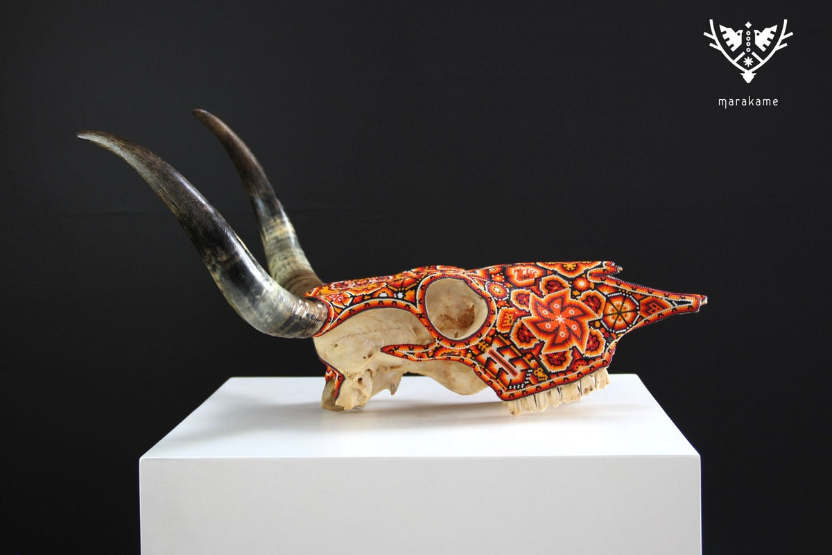 Cráneo de vaca Arte Huichol - Xurawe Tatewari - Arte Huichol - Marakame