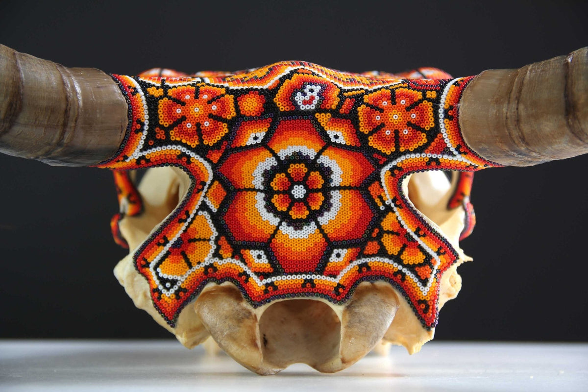 Cráneo de vaca Arte Huichol - Xurawe Tatewari - Arte Huichol - Marakame