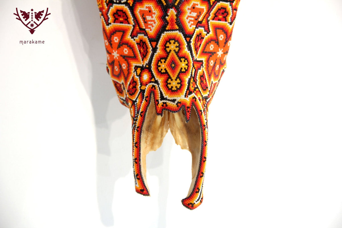 Cráneo de vaca Arte Huichol - Xurawe Tatewari - Arte Huichol - Marakame