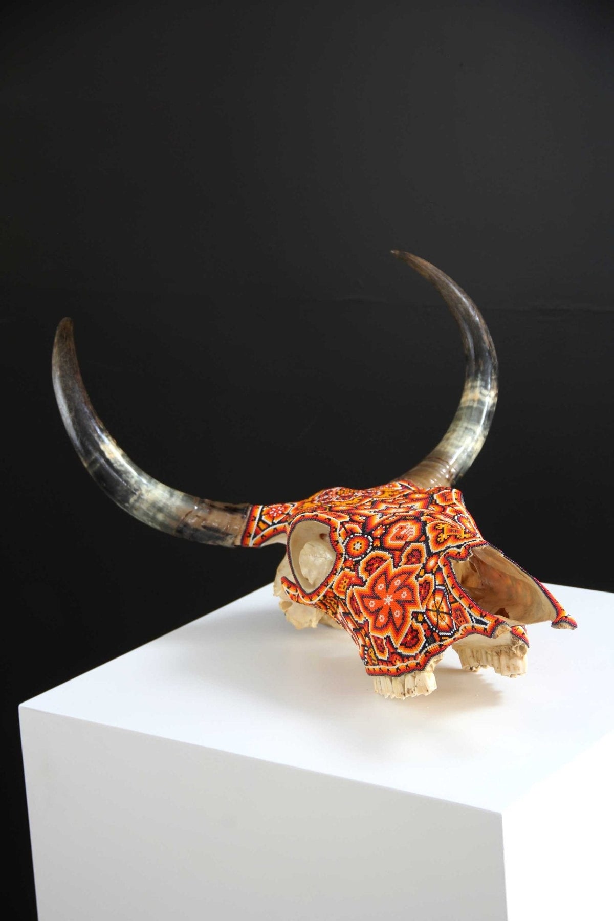 Cráneo de vaca Arte Huichol - Xurawe Tatewari - Arte Huichol - Marakame