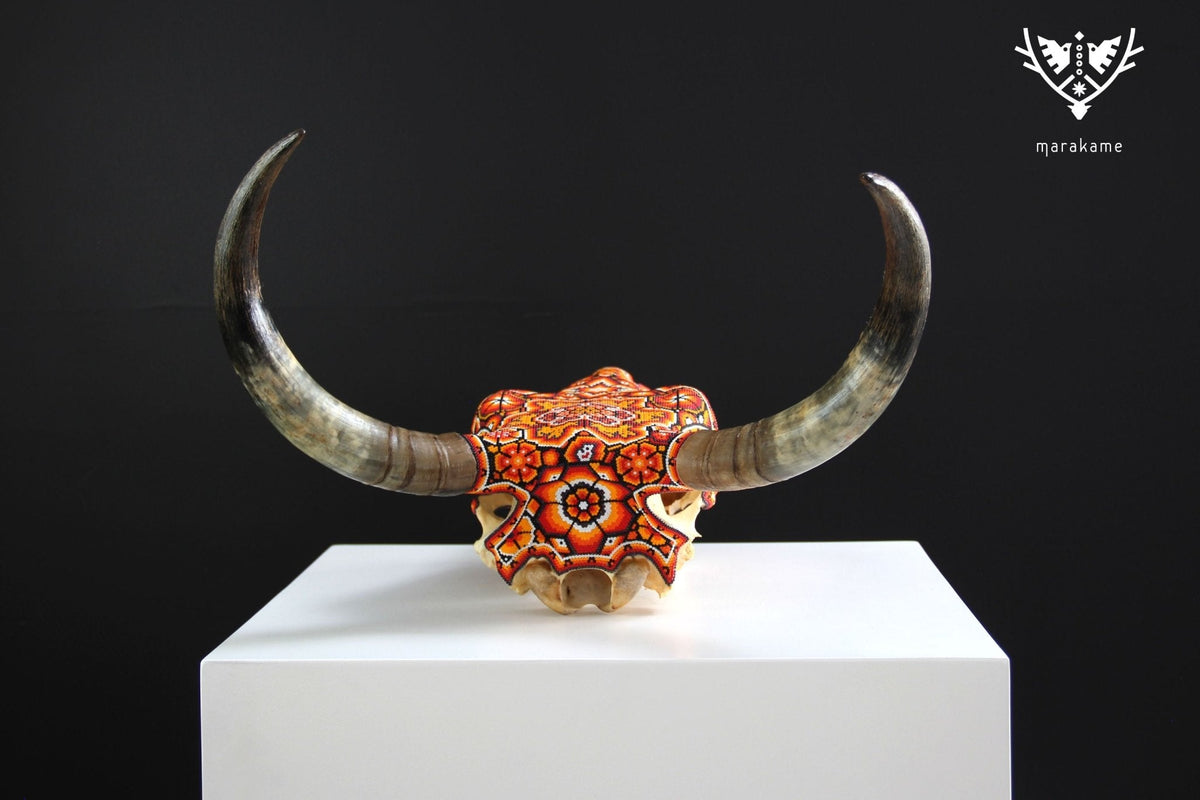 Cráneo de vaca Arte Huichol - Xurawe Tatewari - Arte Huichol - Marakame