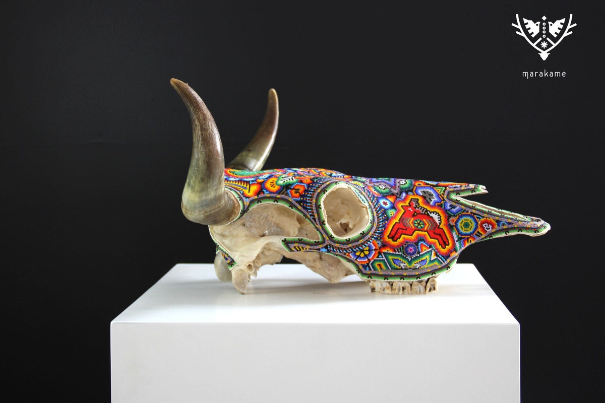Cráneo de vaca Arte Huichol - Xurawe wexik+a - Arte Huichol - Marakame
