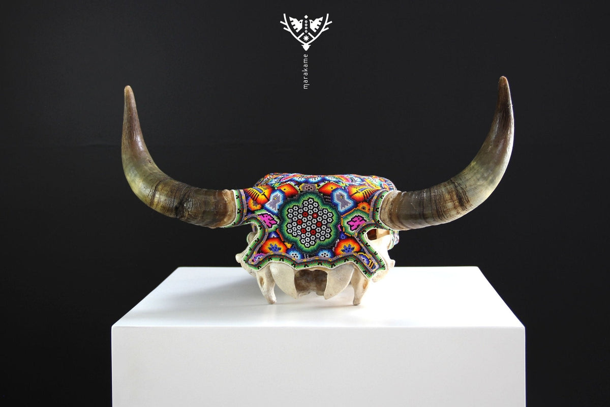Cráneo de vaca Arte Huichol - Xurawe wexik+a - Arte Huichol - Marakame