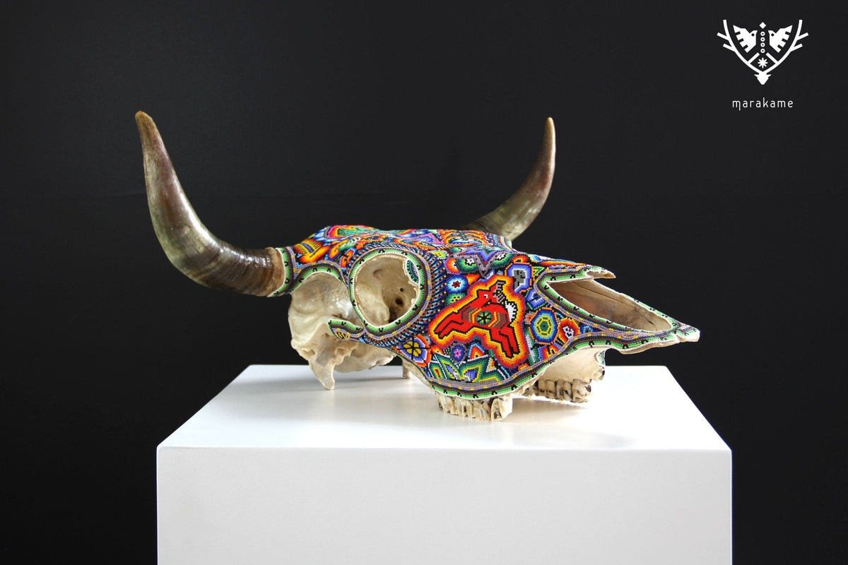 Cráneo de vaca Arte Huichol - Xurawe wexik+a - Arte Huichol - Marakame