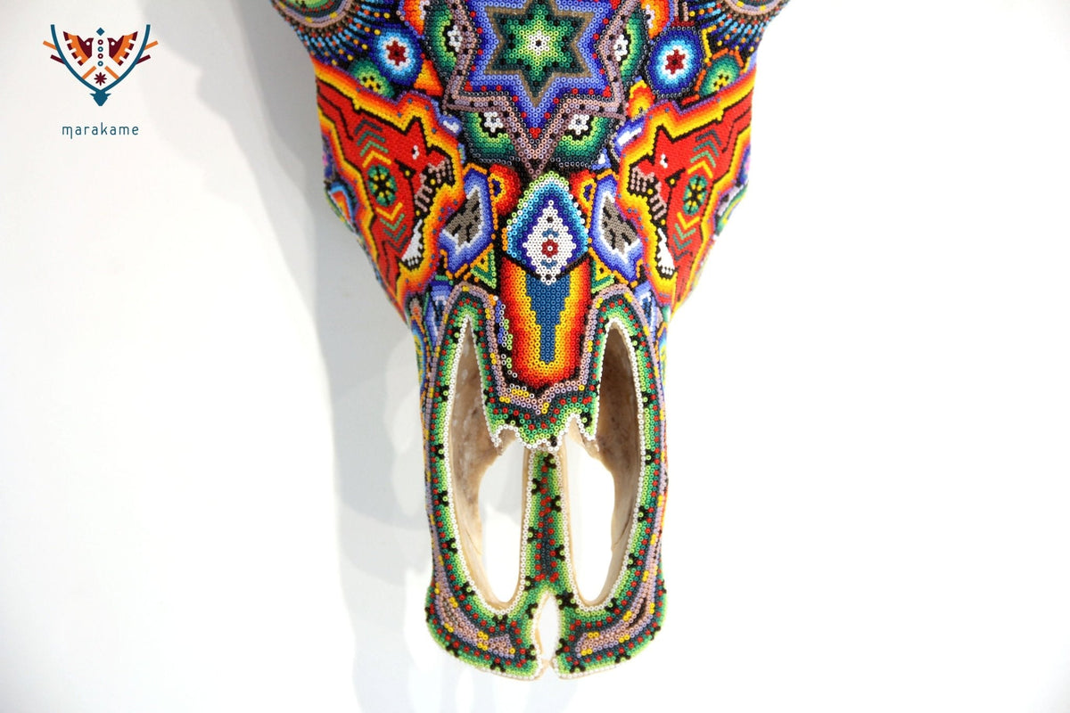 Cráneo de vaca Arte Huichol - Xurawe wexik+a - Arte Huichol - Marakame