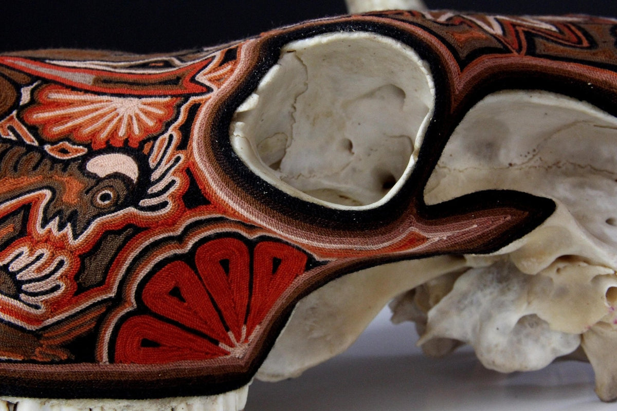 Cráneo de vaca Estambre Huichol - Maxa kuaxi - Arte Huichol - Marakame