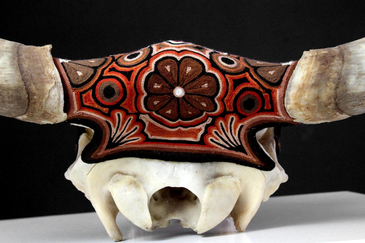 Cráneo de vaca Estambre Huichol - Maxa kuaxi - Arte Huichol - Marakame