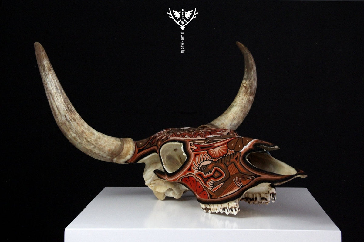 Cráneo de vaca Estambre Huichol - Maxa kuaxi - Arte Huichol - Marakame