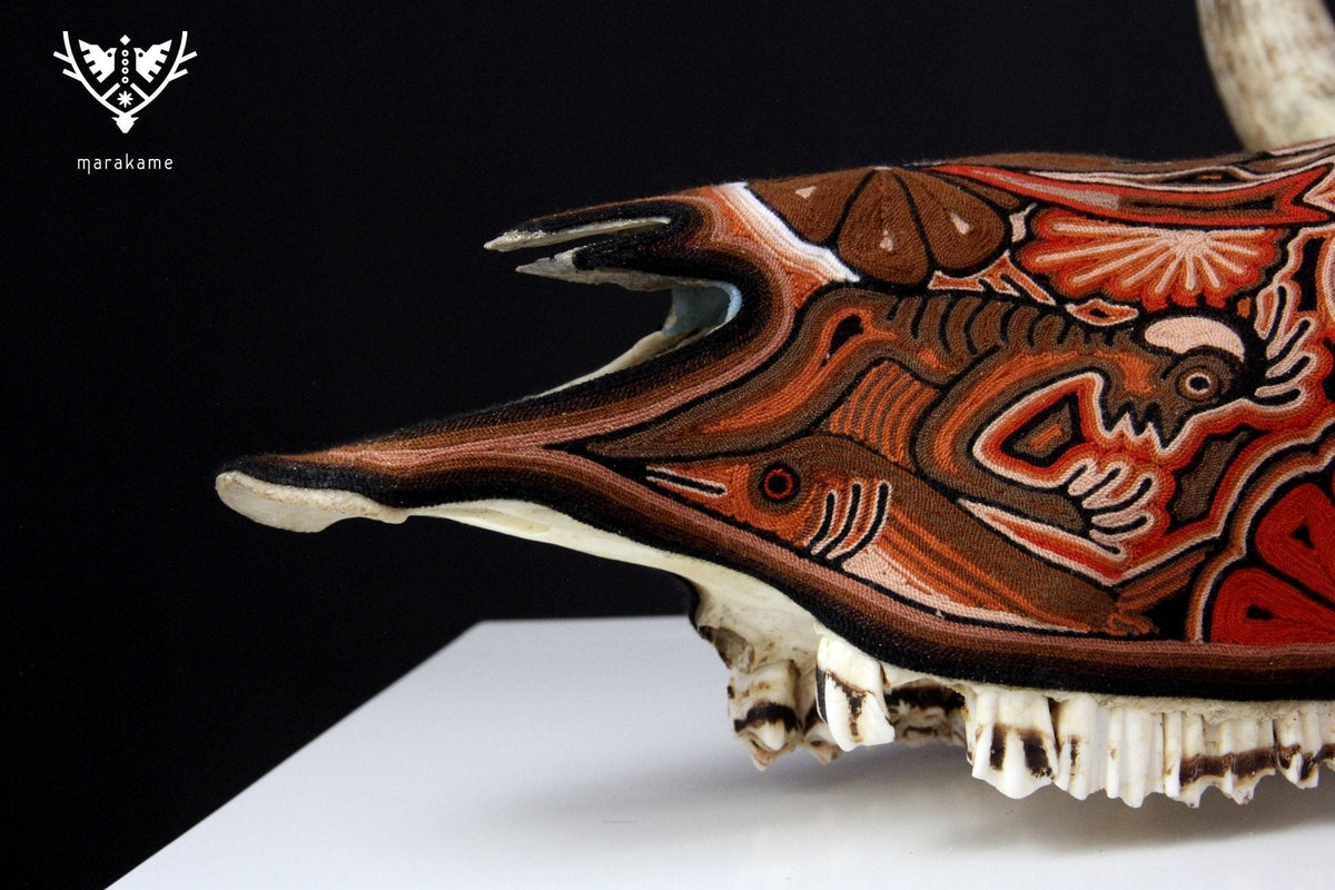 Cráneo de vaca Estambre Huichol - Maxa kuaxi - Arte Huichol - Marakame