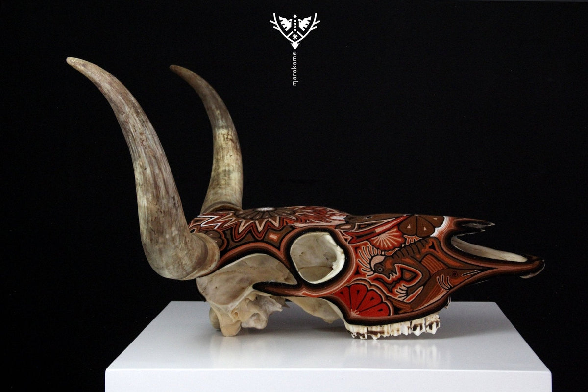 Cráneo de vaca Estambre Huichol - Maxa kuaxi - Arte Huichol - Marakame