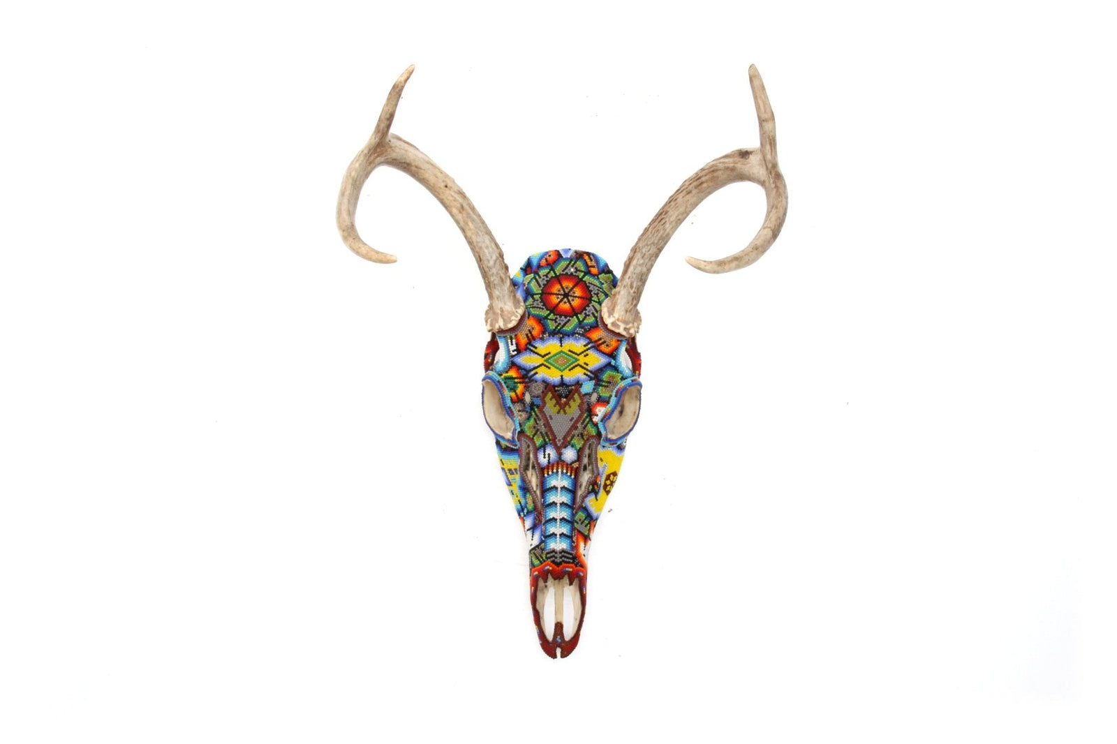 Cráneo de Venado Huichol - Wexikia II - Arte Huichol - Marakame
