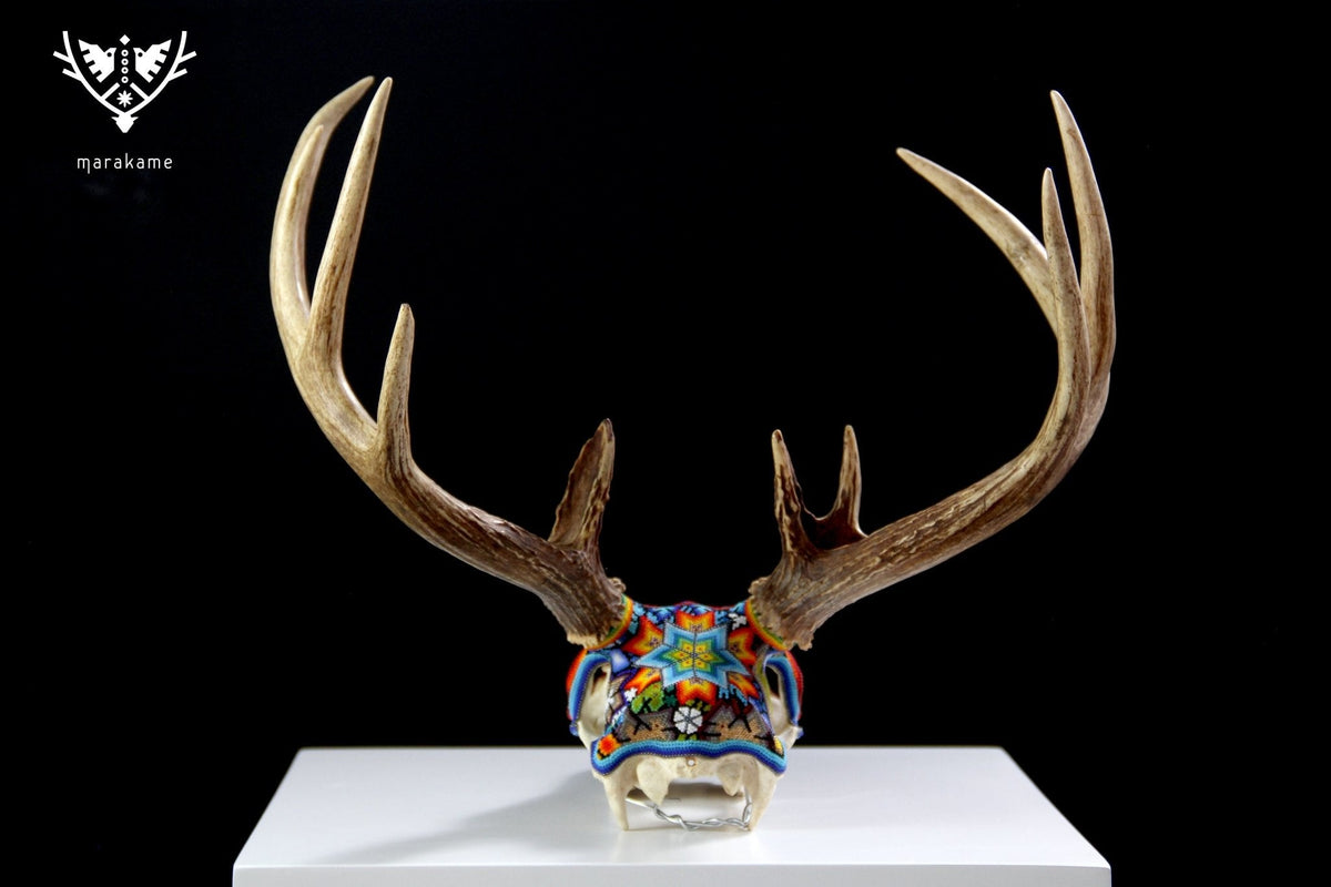 Cráneo de Venado Huichol - Xamainuri - Arte Huichol - Marakame