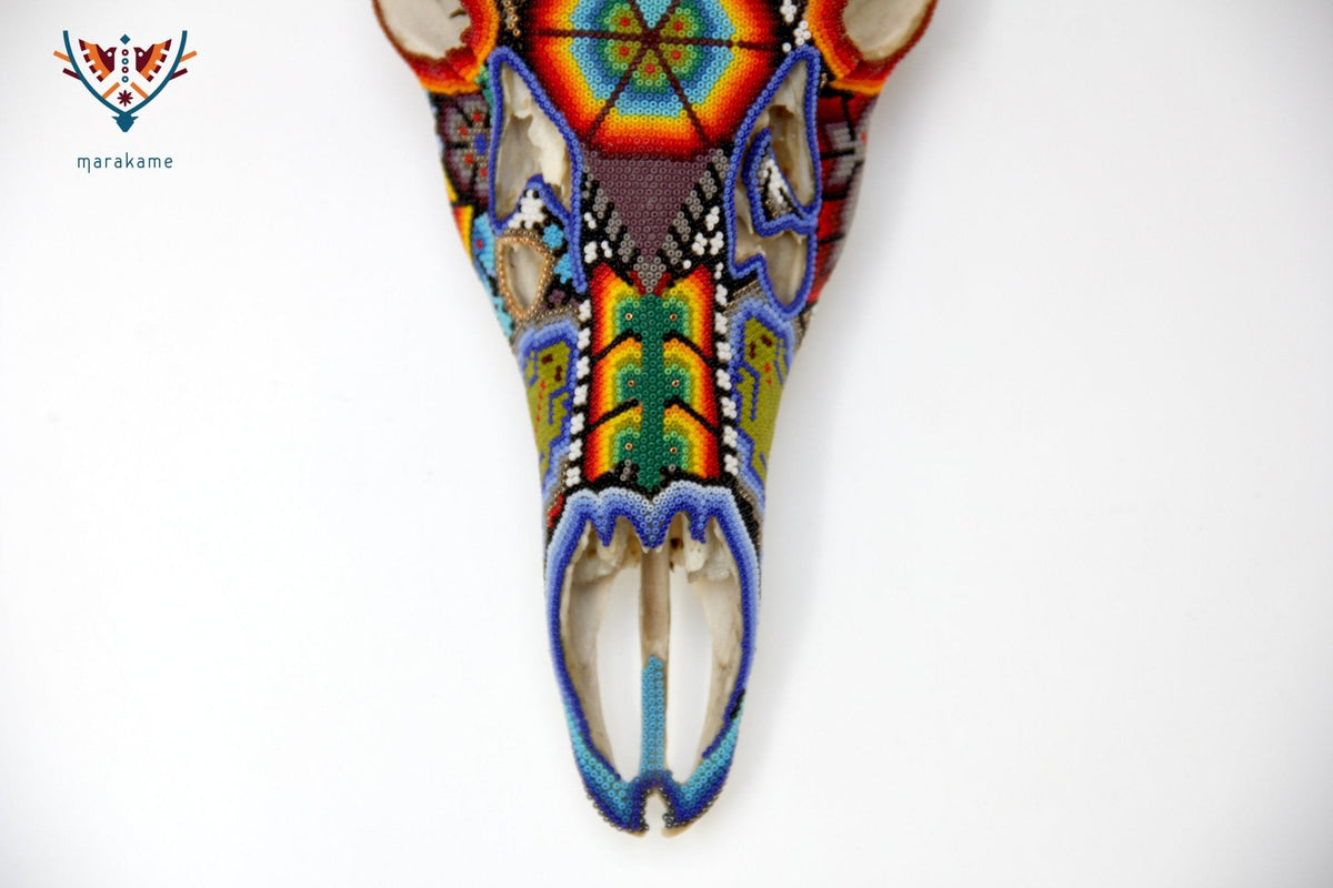 Cráneo de Venado Huichol - Xamainuri - Arte Huichol - Marakame