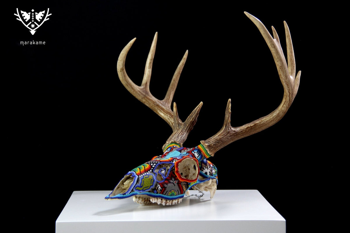 Cráneo de Venado Huichol - Xamainuri - Arte Huichol - Marakame
