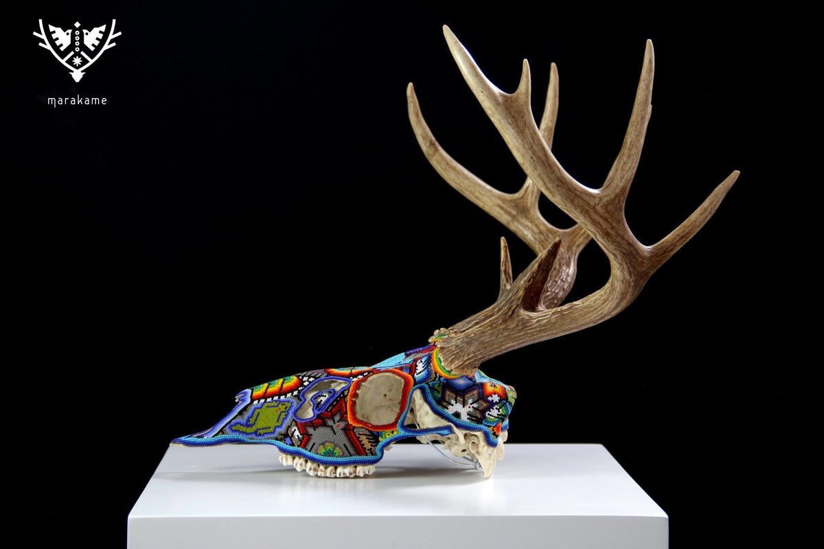 Cráneo de Venado Huichol - Xamainuri - Arte Huichol - Marakame