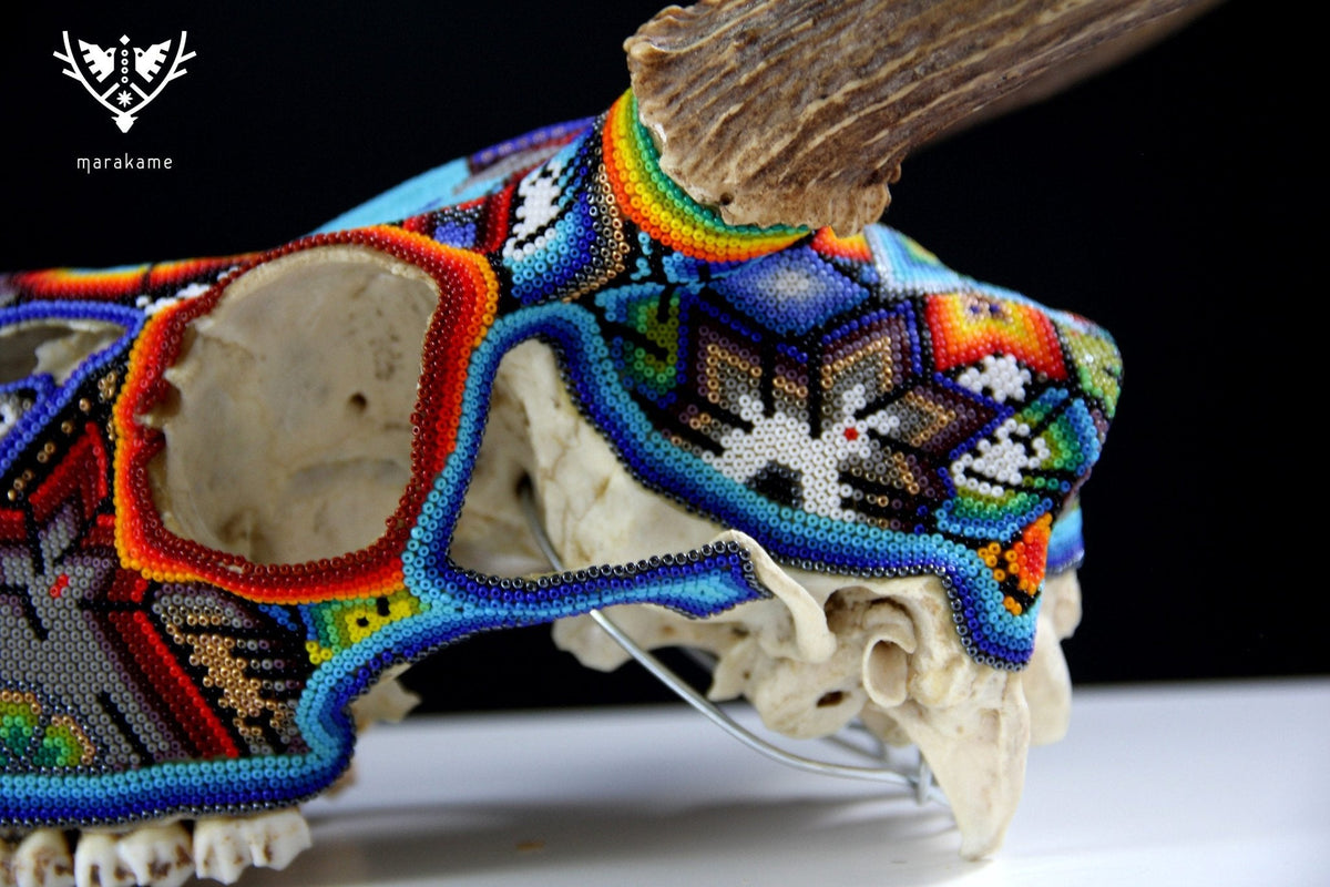 Cráneo de Venado Huichol - Xamainuri - Arte Huichol - Marakame