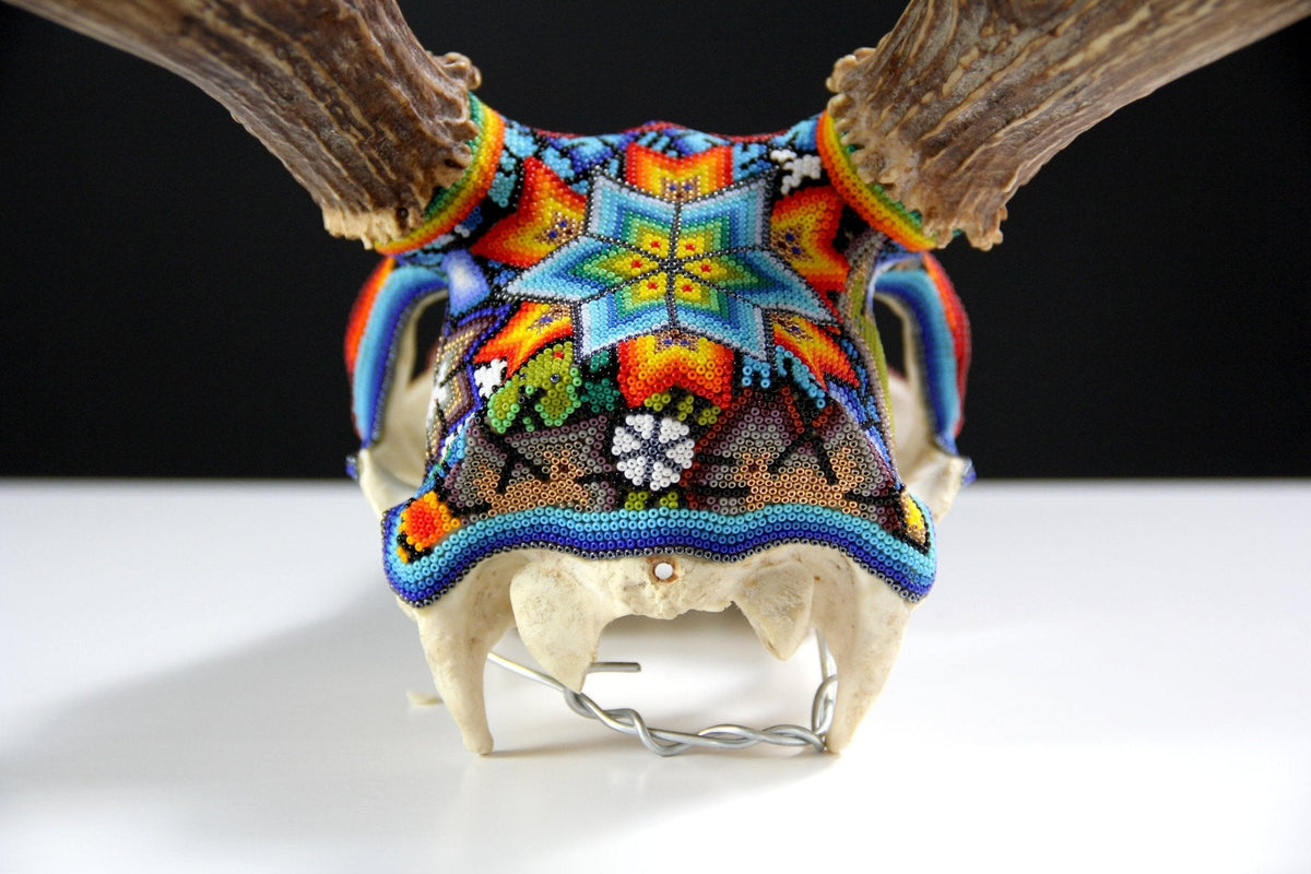 Cráneo de Venado Huichol - Xamainuri - Arte Huichol - Marakame