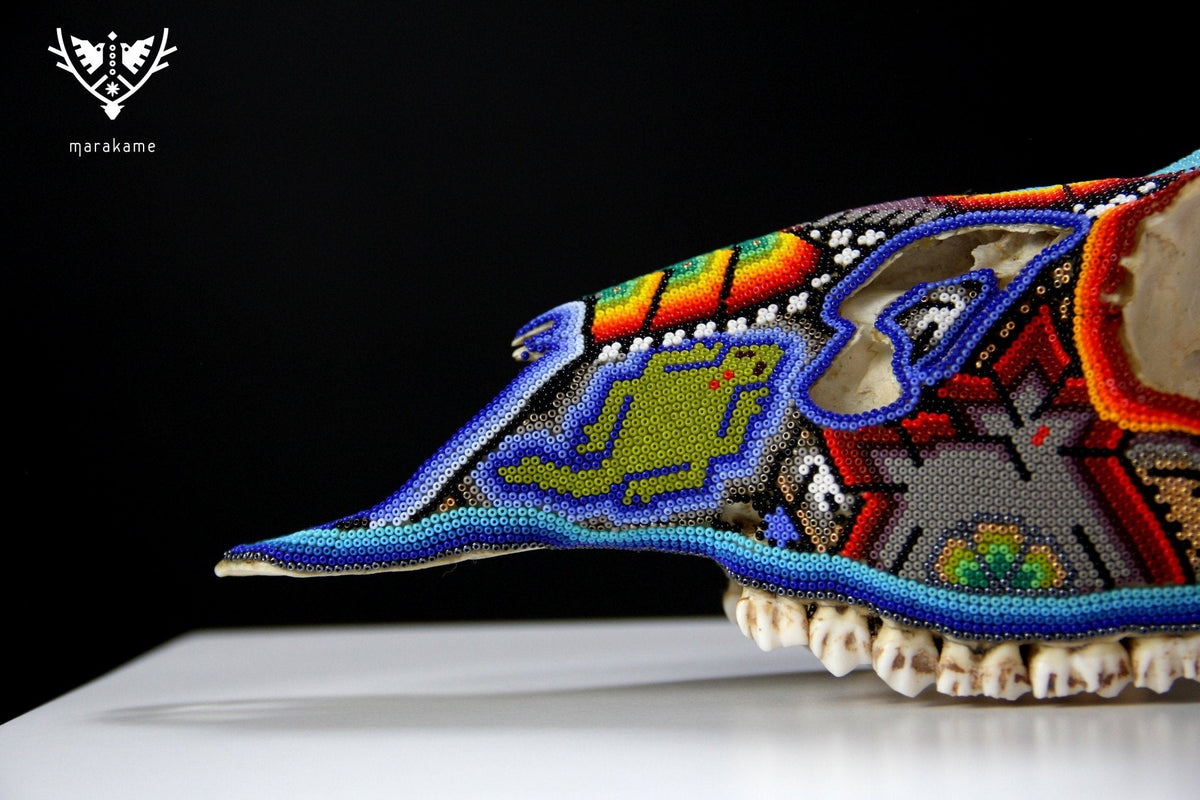 Cráneo de Venado Huichol - Xamainuri - Arte Huichol - Marakame