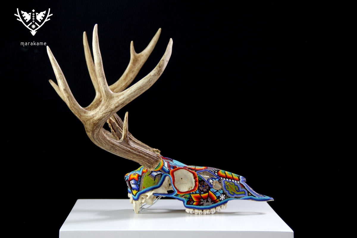 Cráneo de Venado Huichol - Xamainuri - Arte Huichol - Marakame