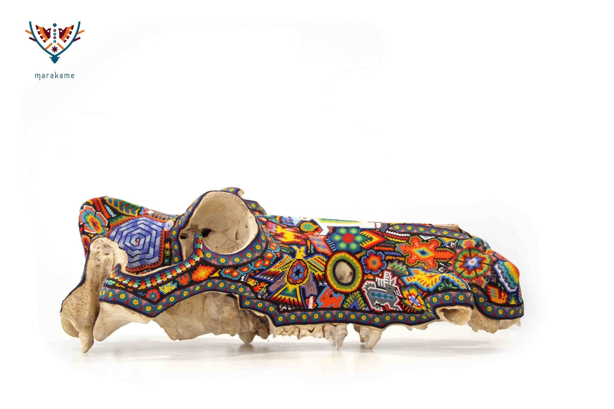 Cráneo auténtico de hipopotamo - Weriyaukiaa I - Arte Huichol - Marakame