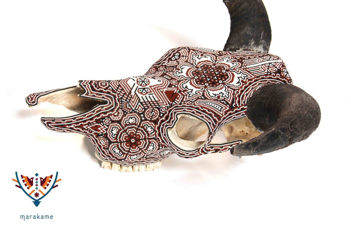 Cráneo de Búfalo Huichol &quot;Tuutú Xawe&quot; - Arte Huichol - Marakame
