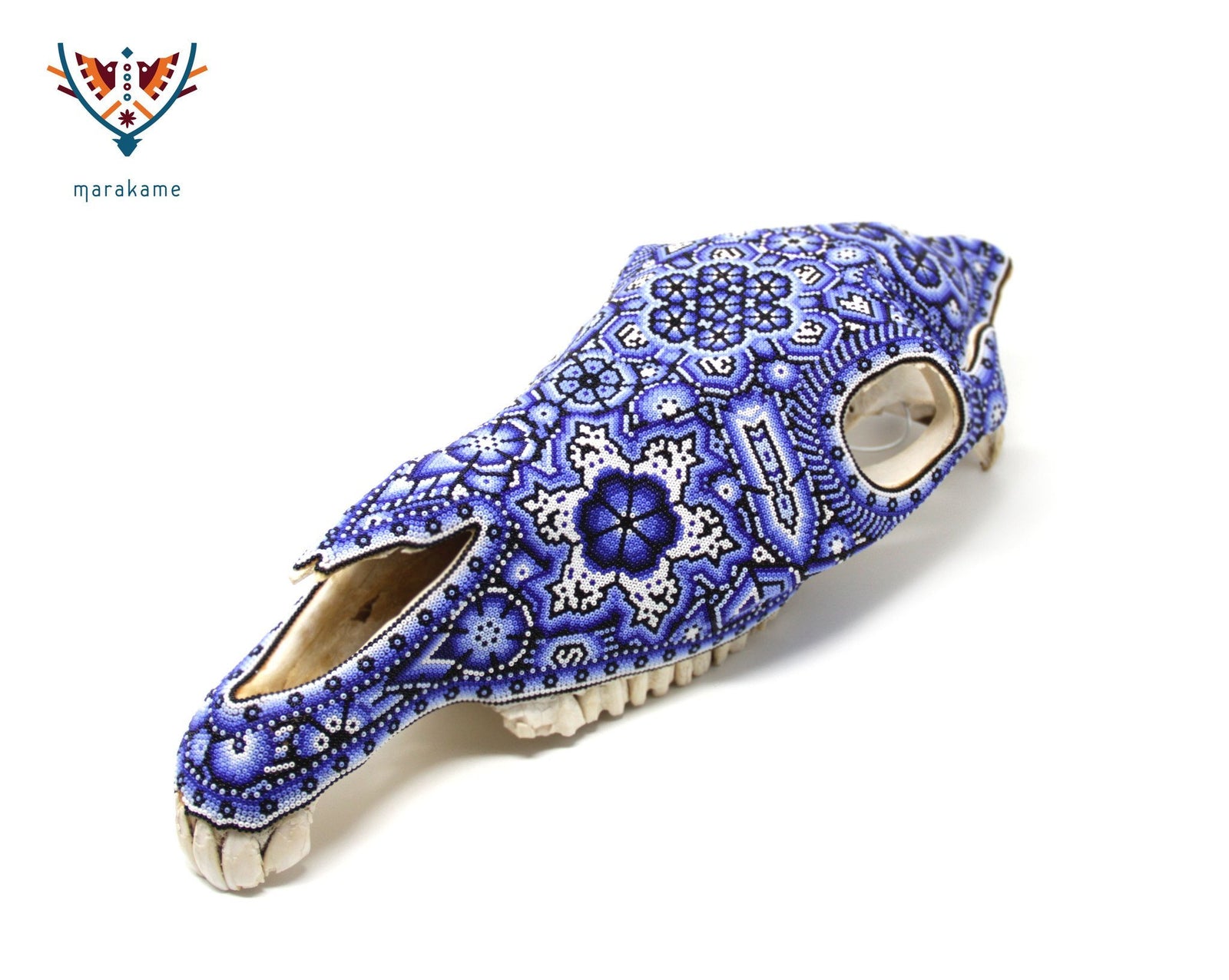 Cráneo de Caballo -"Nawá" - Arte Huichol - Marakame