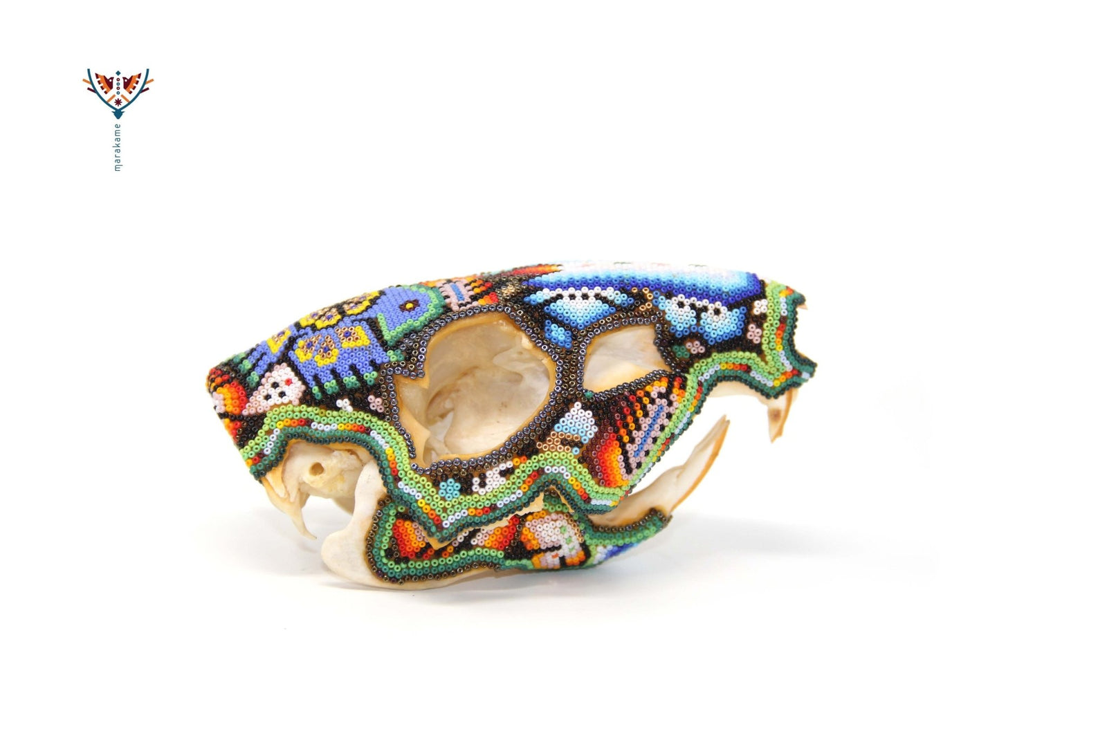 Cráneo de Castor Gigante Huichol -"Watakame Ikú I" - Arte Huichol - Marakame