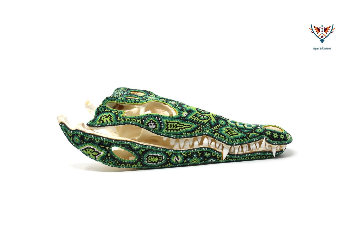 Cráneo de Cocodrilo Huichol -&quot;Tuutú&quot; - Arte Huichol - Marakame