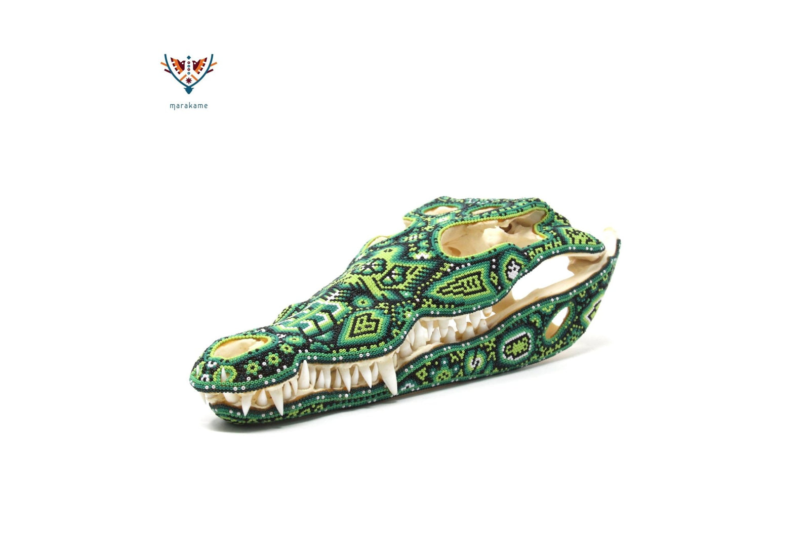 Cráneo de Cocodrilo Huichol -"Tuutú" - Arte Huichol - Marakame