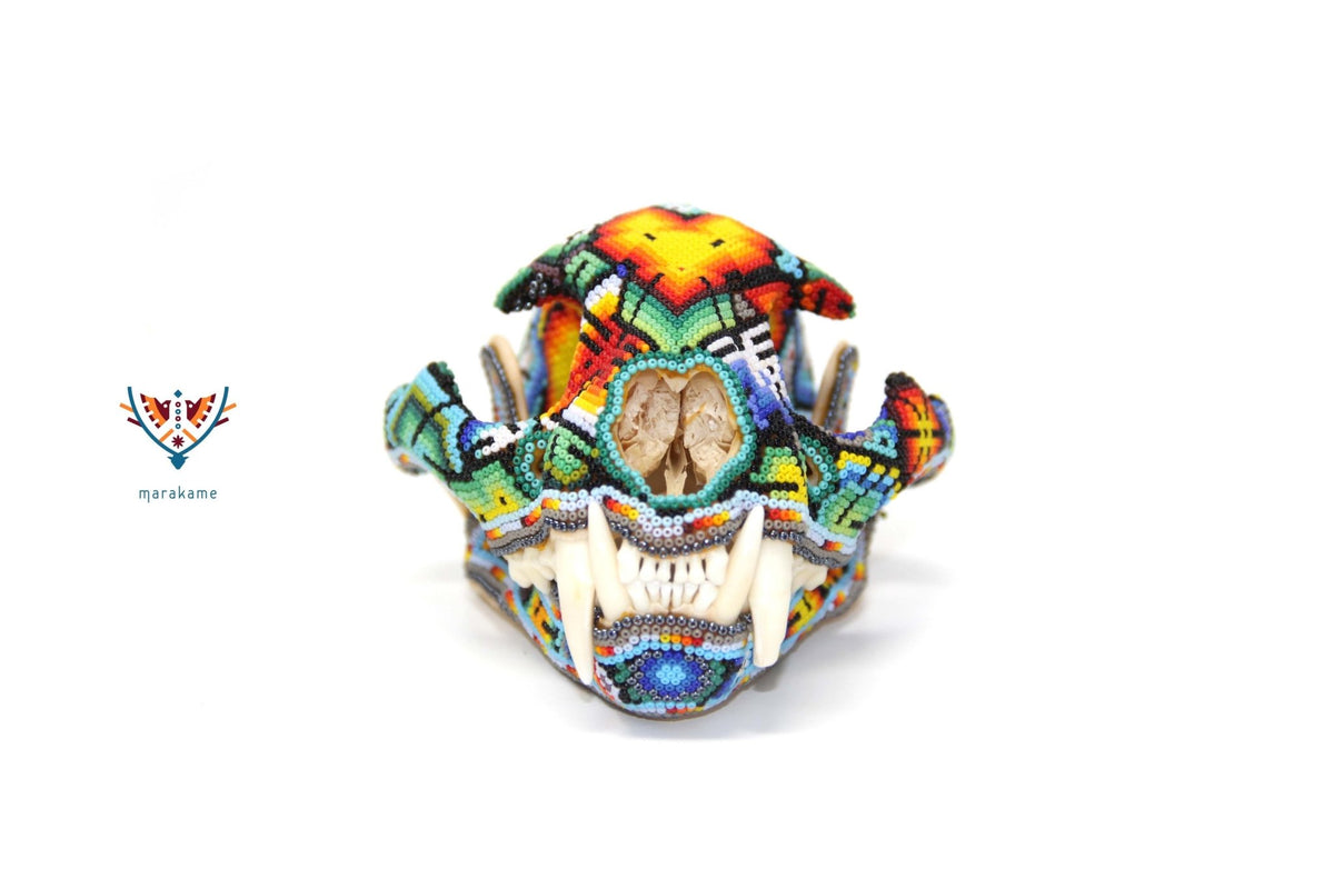 Cráneo de felino Huichol -&quot;Ewi Xawe II&quot; - Arte Huichol - Marakame