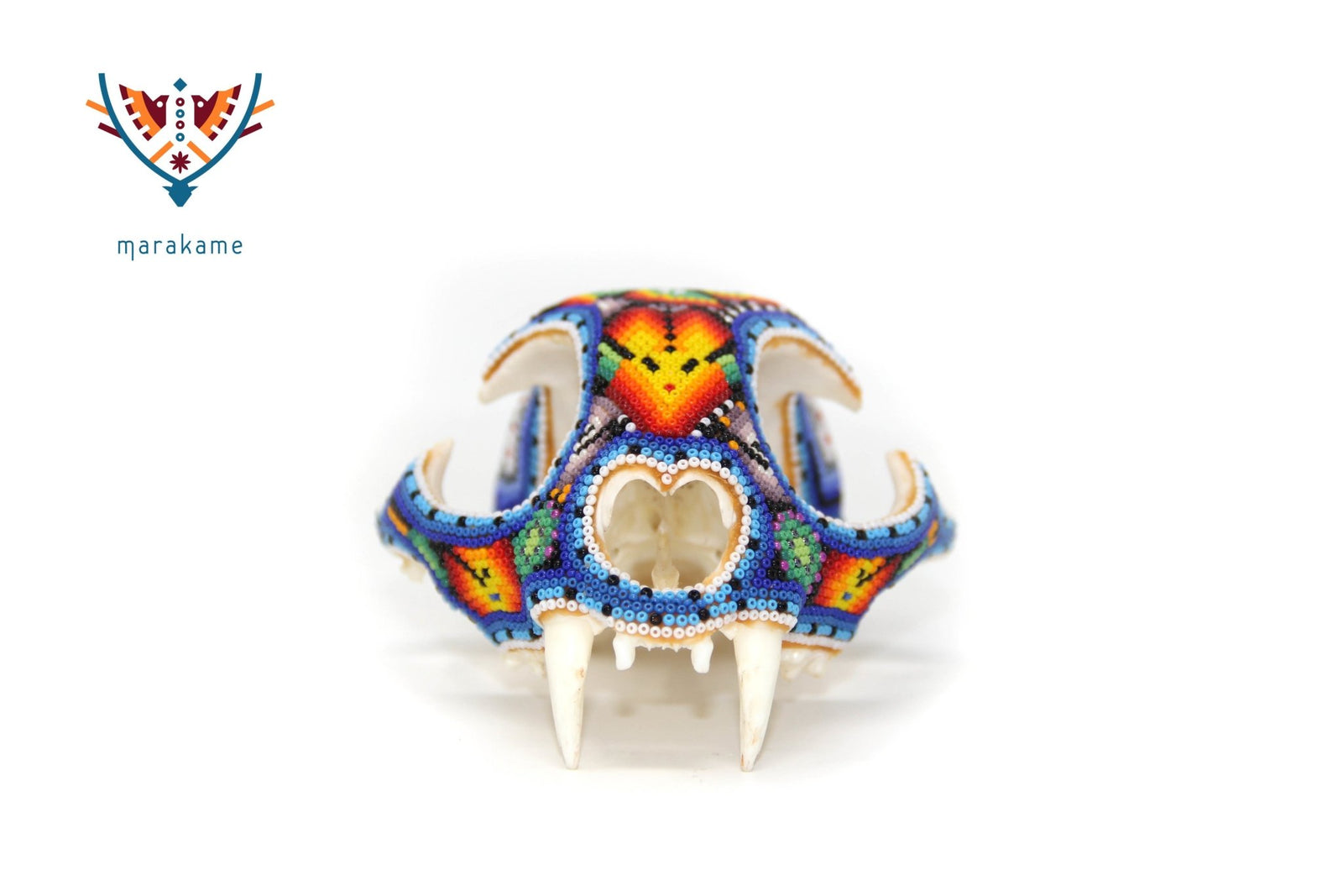 Cráneo de Felino Huichol -"Hikuri Xawe" - Arte Huichol - Marakame